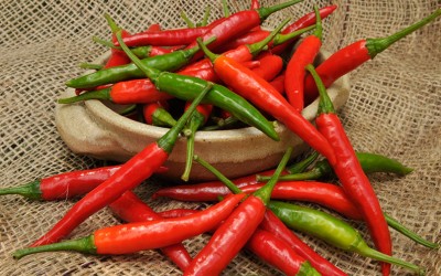 What makes Chilli hot?