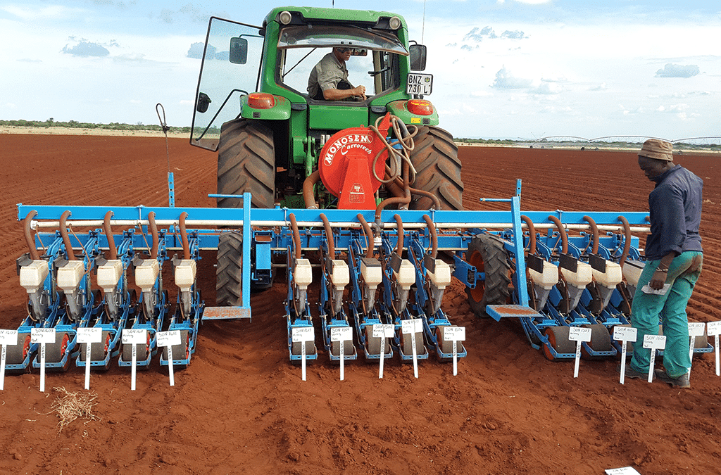 Onion Trials in North West