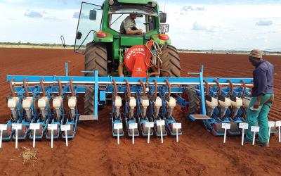 Onion Trials in North West