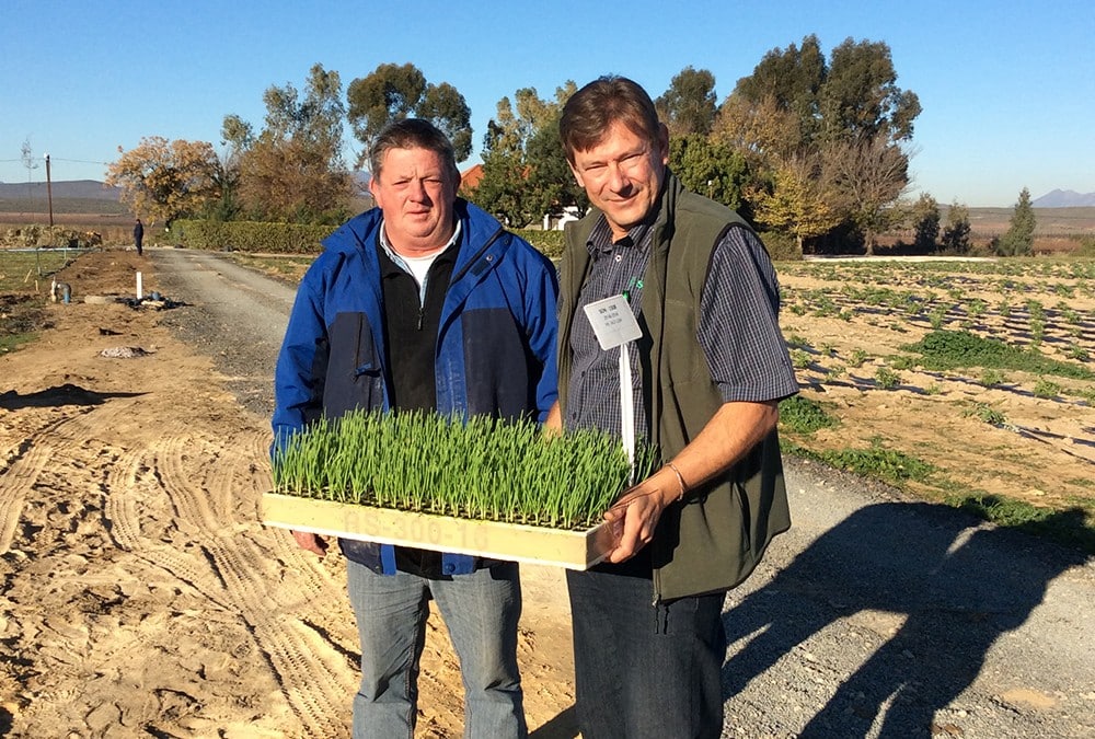 Nuy Valley Onion Trials