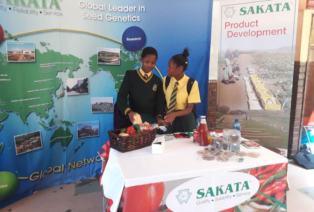 Tsogo Alumni Society Career Day