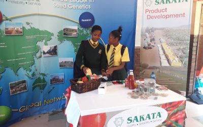 Tsogo Alumni Society Career Day