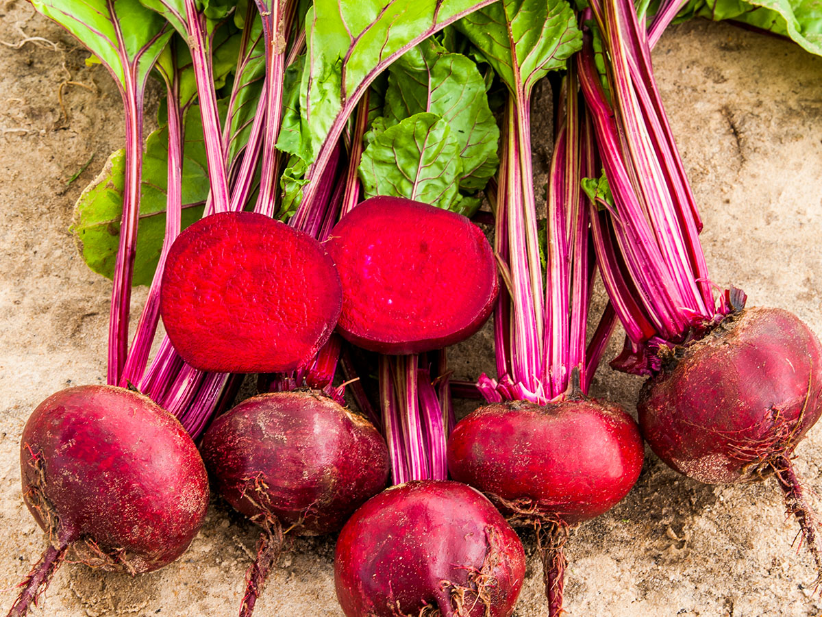 Um, Eating Beets Might Make It Look Like You're Peeing Blood