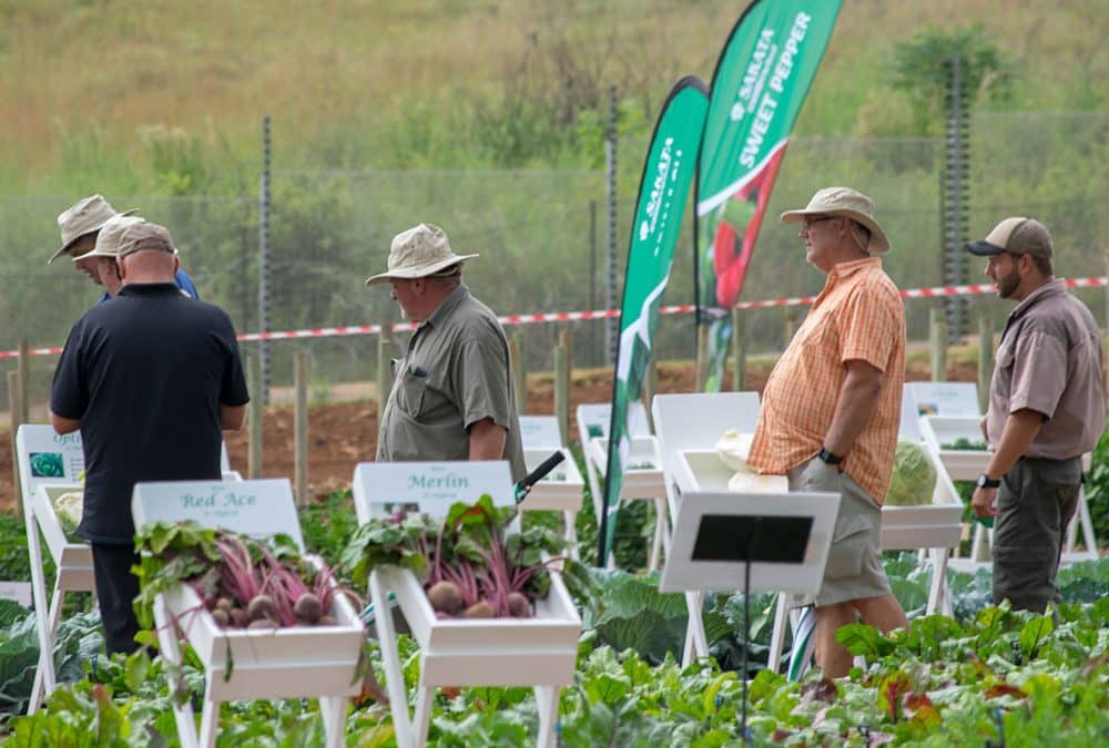 Sakata Seeds Open Day a Huge Success