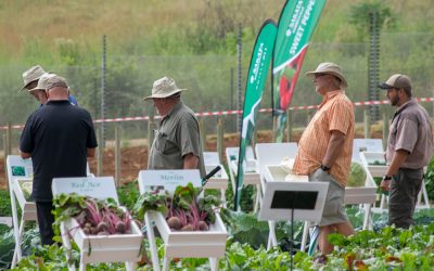 Sakata Seeds Open Day a Huge Success