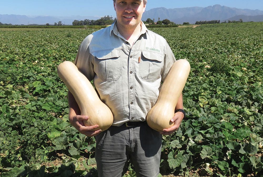 New butternut Titan* – living up to its name