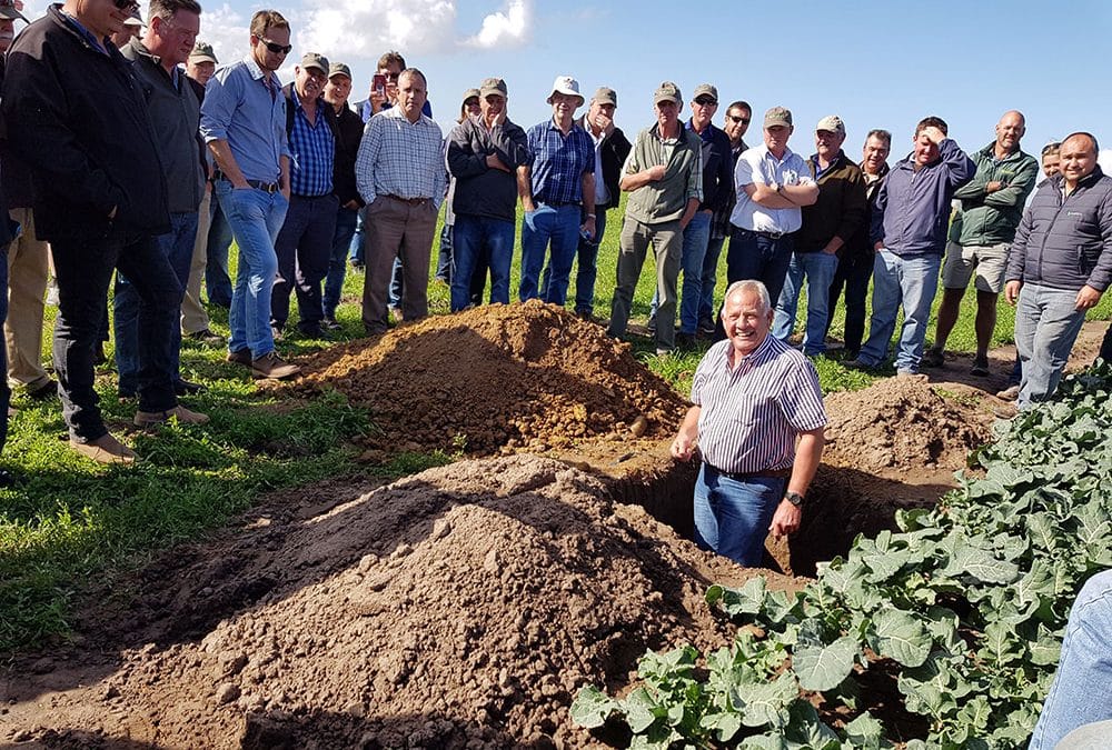 Sakata hosts a Brassica and Irrigation day in George