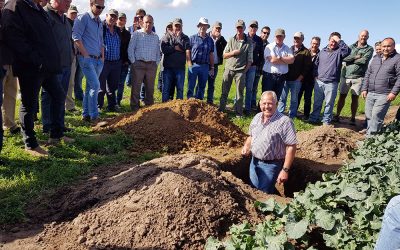 Sakata hosts a Brassica and Irrigation day in George