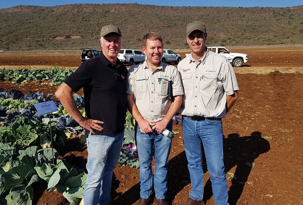Cabbage day in Weenen
