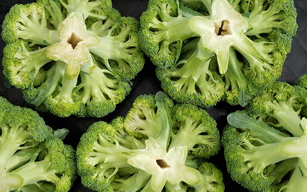 Physiological Disorders of Broccoli Cauliflower2