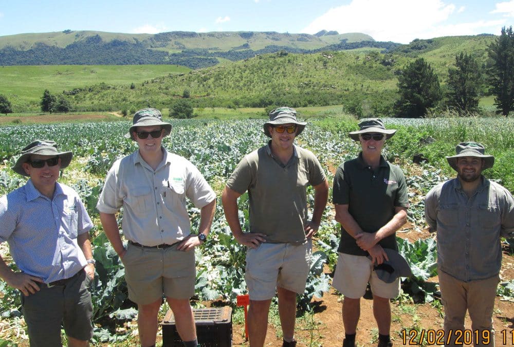 Brassica Information Day – Boston, KwaZulu Natal