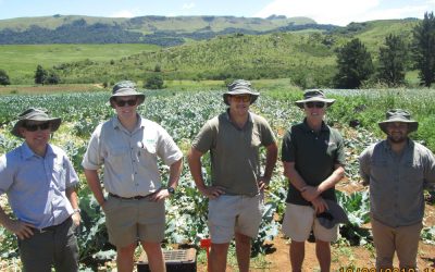 Brassica Information Day – Boston, KwaZulu Natal