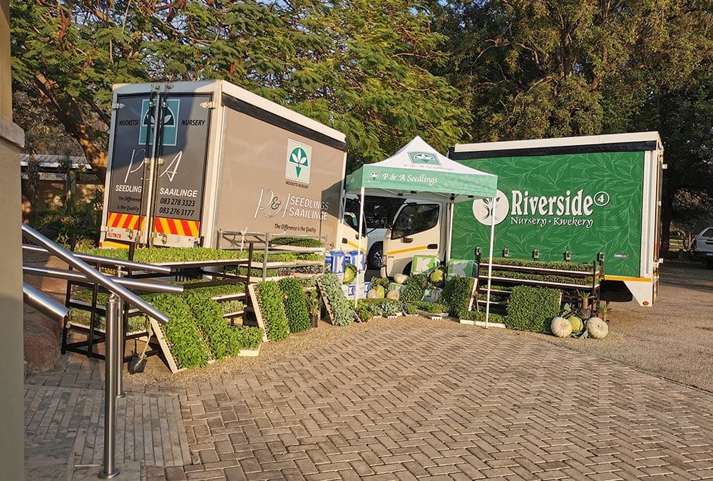 Nwanedi Farmers workshop – Tshipise