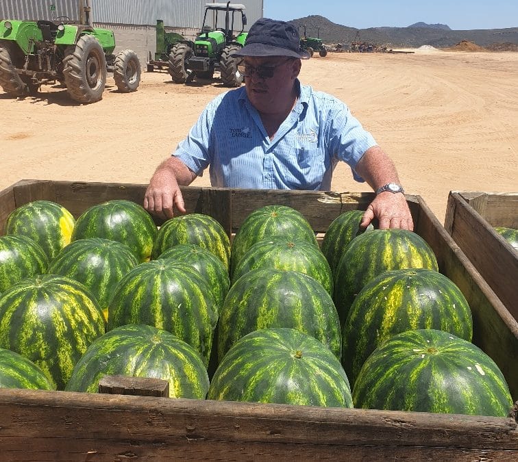 BBV Boerdery – Sensei