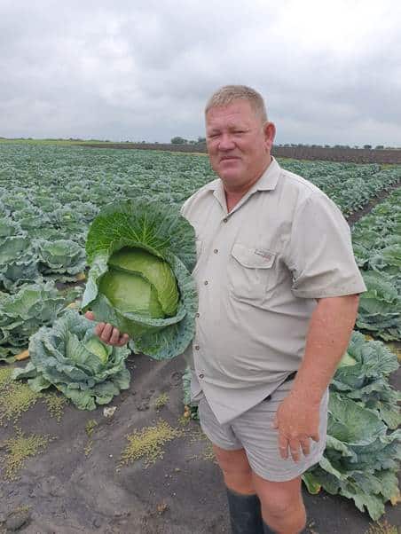 Optima – Koos Botha