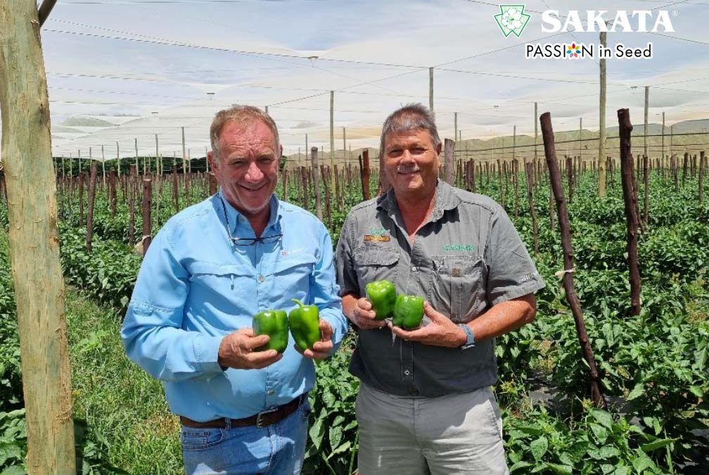 Cherokee Sweet Peppers