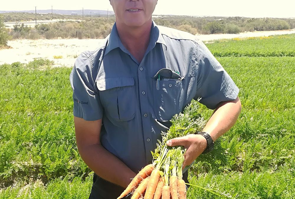 Carvora Carrot in Western Cape