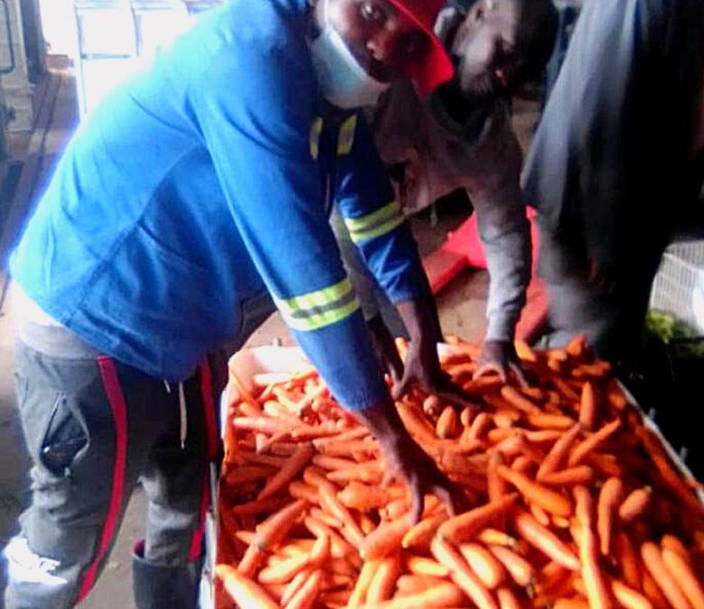 CARROT NATIVA IN MUTOKO, ZIMBABWE