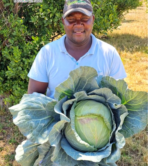 NTOKOZO DUKE’S FIRST JOURNEY WITH SUPERSLAM CABBAGE