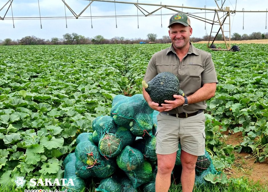 HUBBARD SQUASH AND ITS BALANCE CHALLENGE