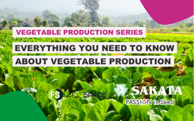 Sakata’s New Vegetable Production Video Series