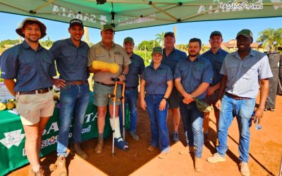 Local Farmers’ Day in Tzaneen, Limpopo