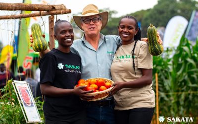 Success for Sakata at Wambugu ATC Trial Day in Nyeri, Kenya