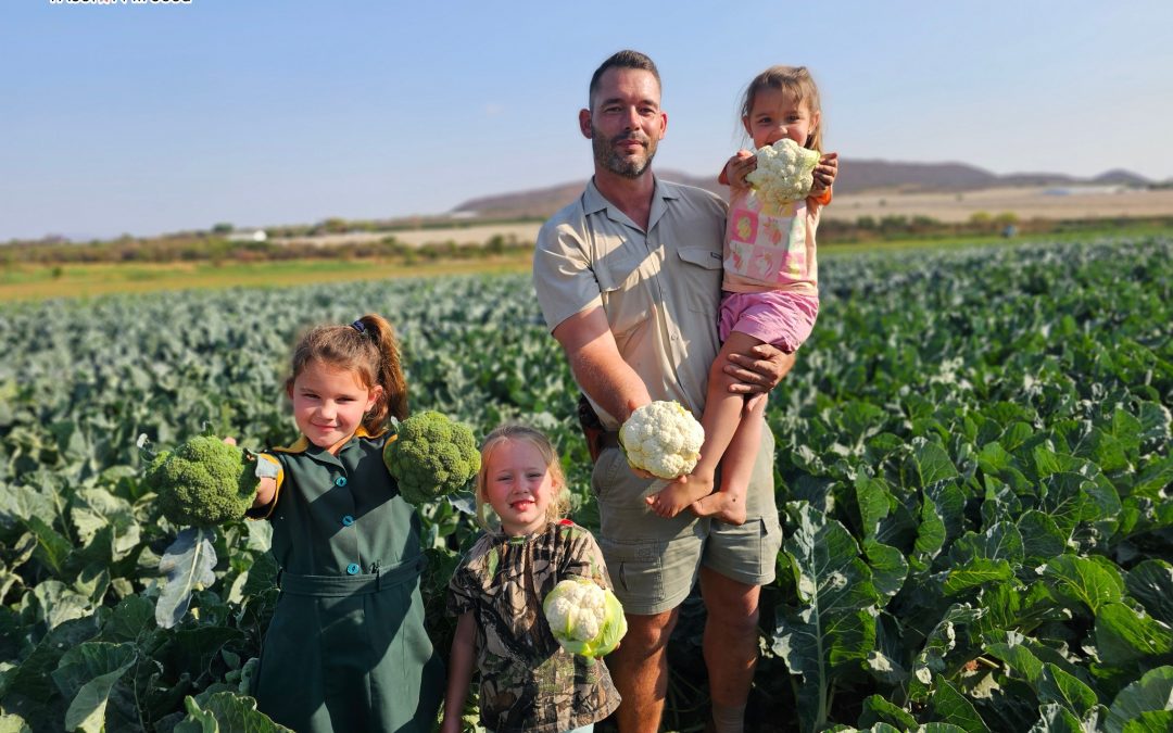 Success with Sakata’s Nairobi* Cauliflower and Triton Broccoli in Challenging Conditions