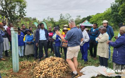 Onion Information Day in Eswatini 6 Nov 2024