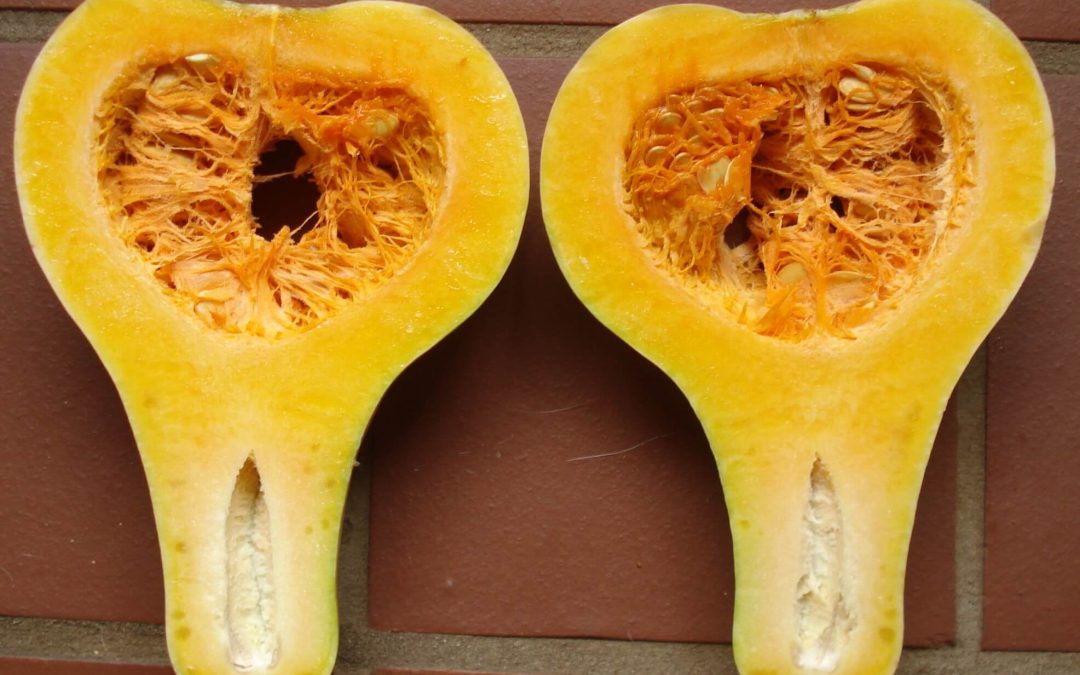 Causes and prevention of thin necks in butternut squash