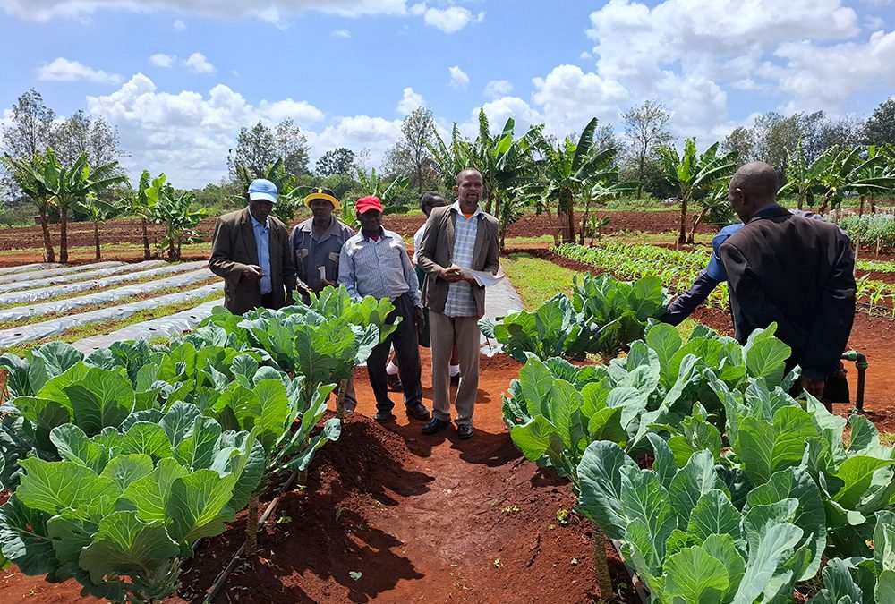SAKATA AT KALRO EXPO 2026
